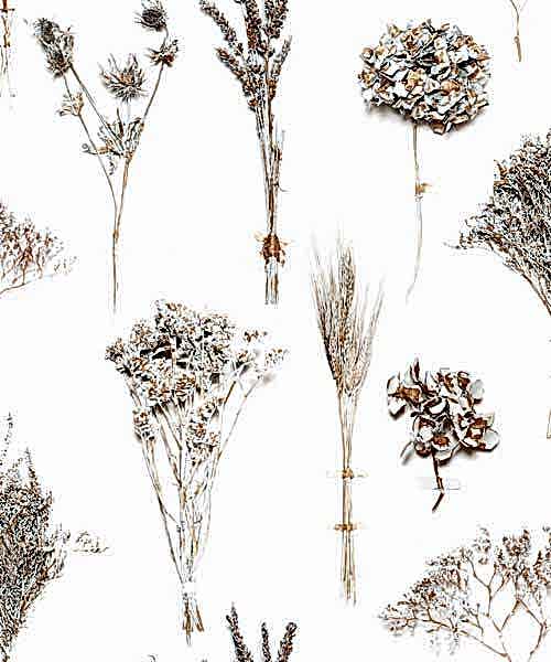 40th Anniversary 8000023