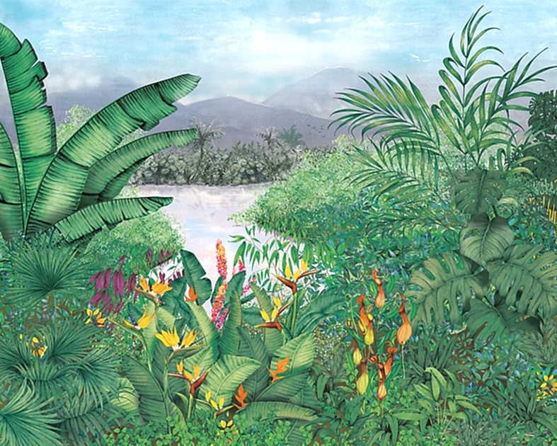 Neo-colonial 8800110