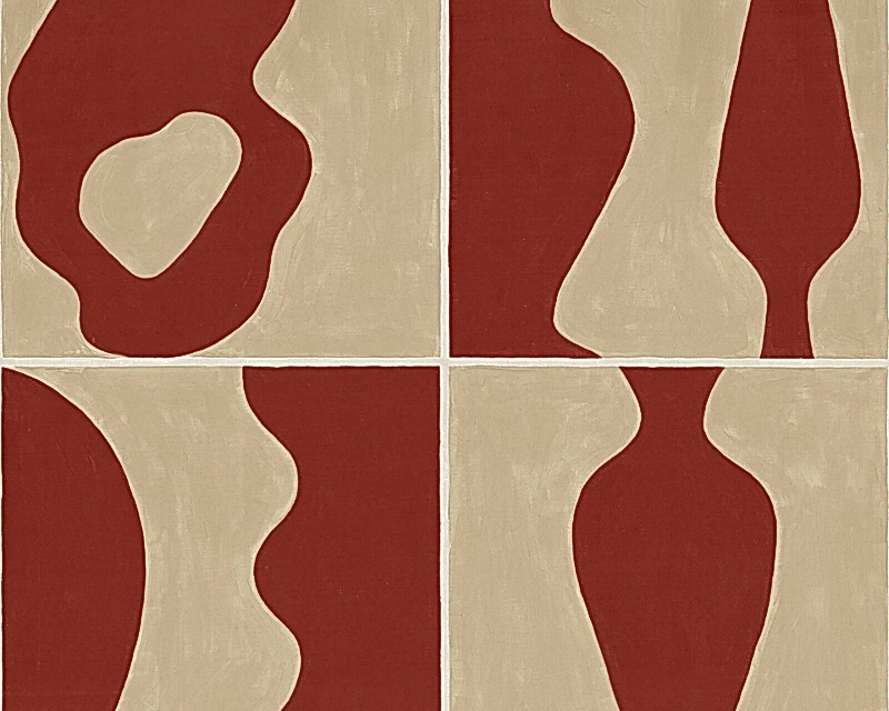 CARREAUX DE TERRE AST-NT-020-05_GV