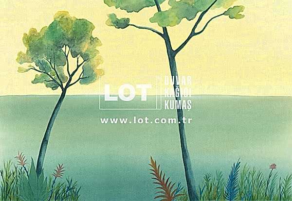 Calypso AST-NT_057_01