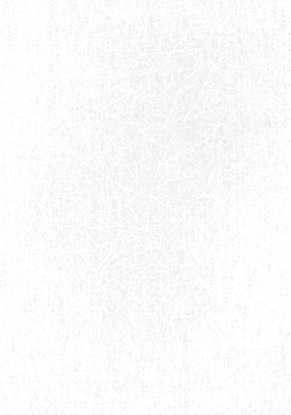 ZOLA EMROIDERY AW9102