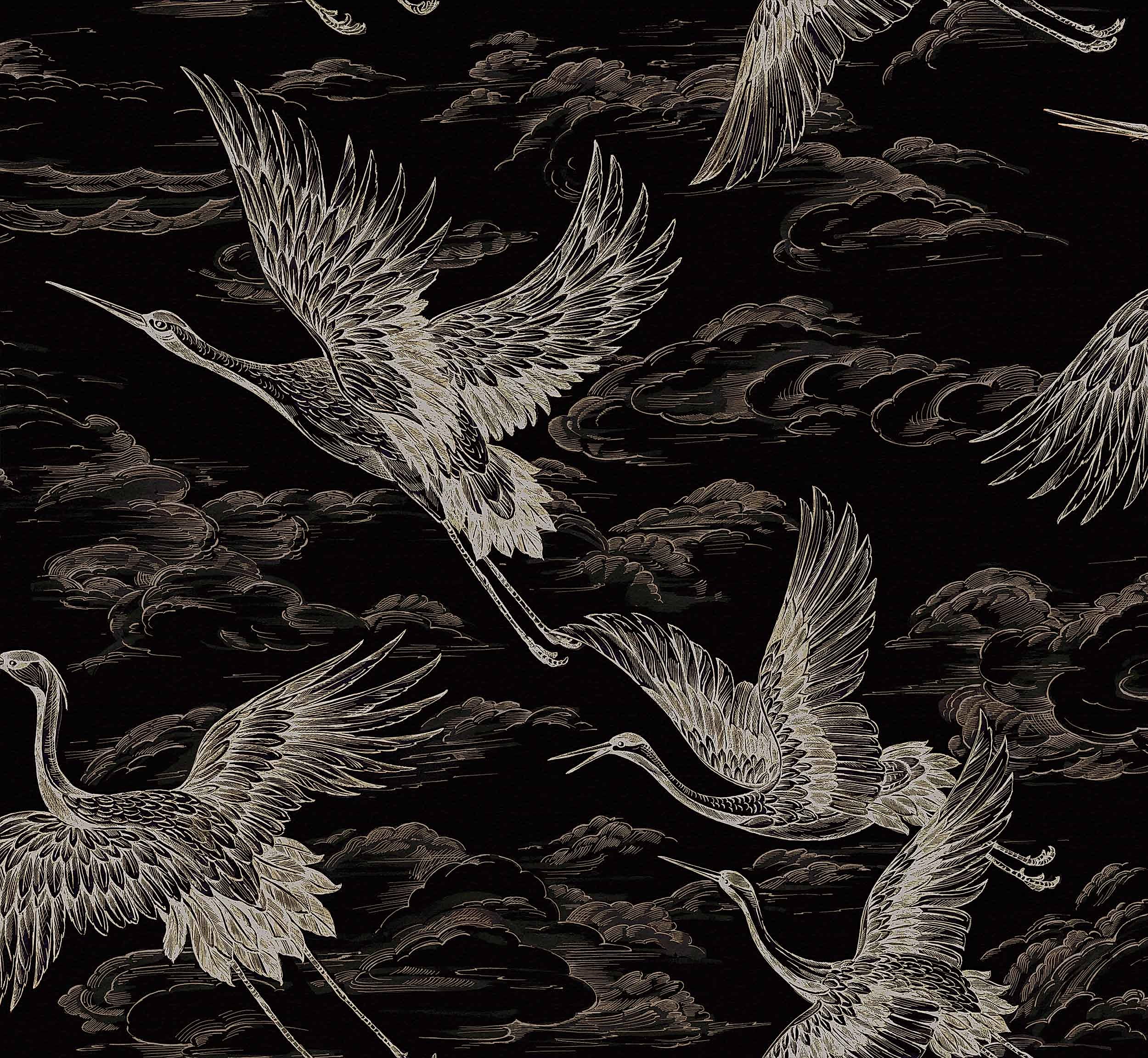 Imperial Ibis B00138