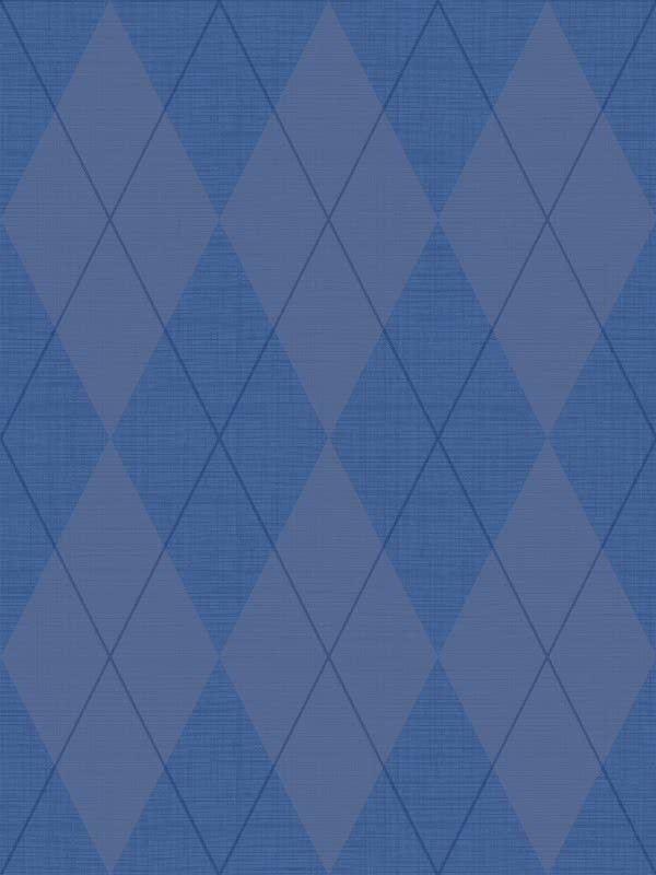 Navy Grey & White bl72022