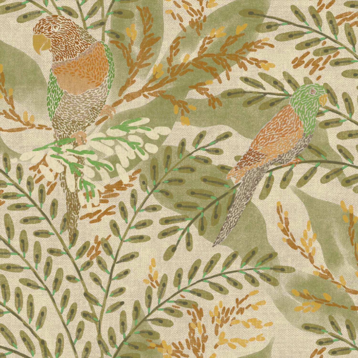 Bossa Nova BS5303-2_01