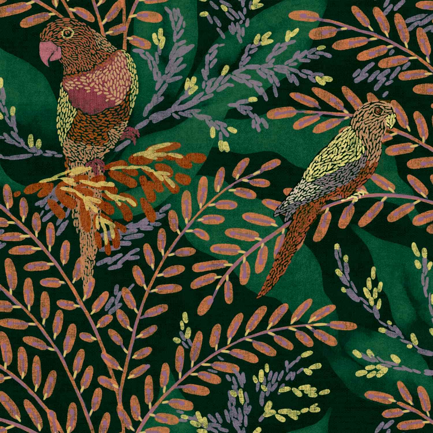 Bossa Nova BS5303-3_01