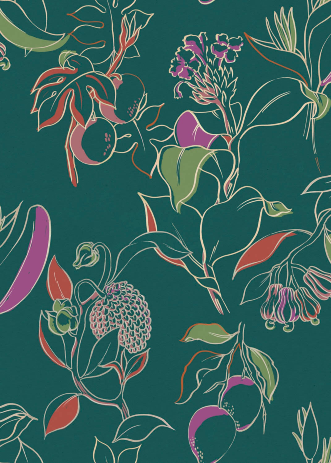 Bossa Nova BS5304-1_01