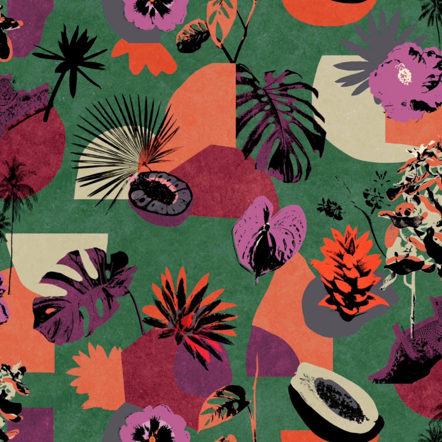 Bossa Nova BS5306-1_01