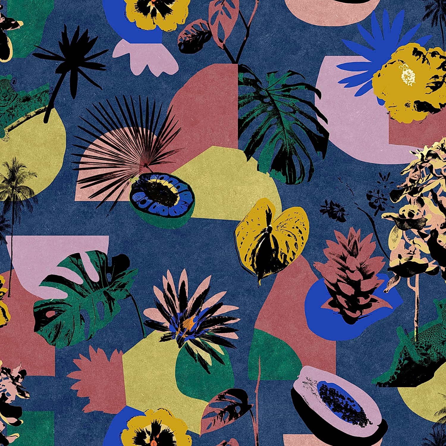 Bossa Nova BS5306-3_01