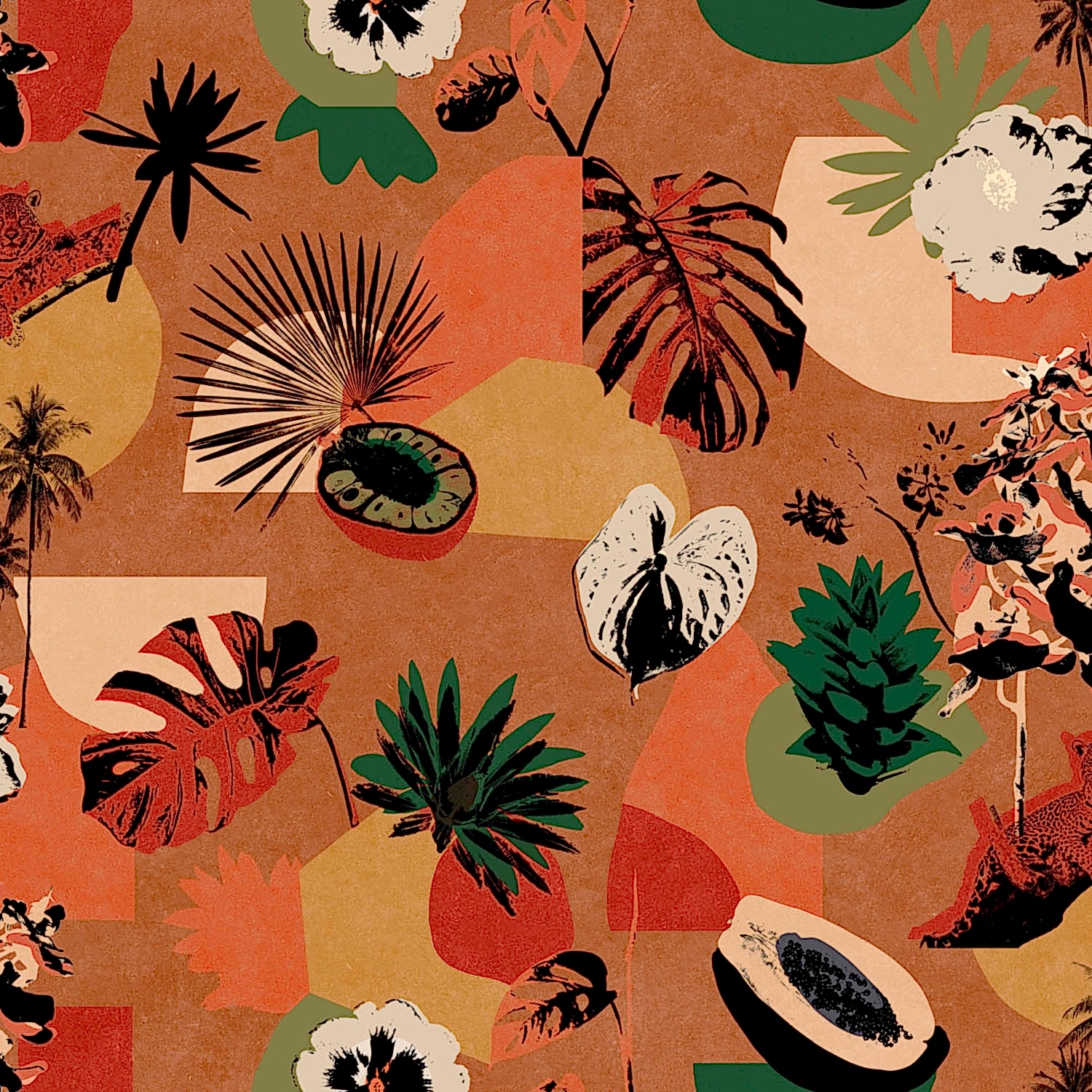 Bossa Nova BS5306-4_01