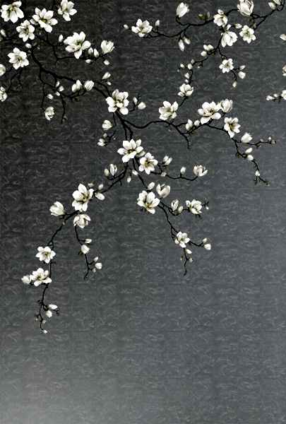 Chinoiserie CH32318M