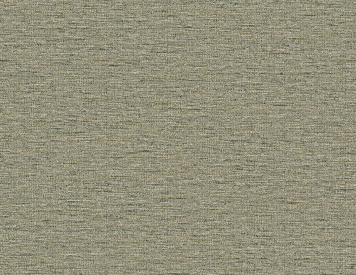 Carl Robinson 21 CL70407