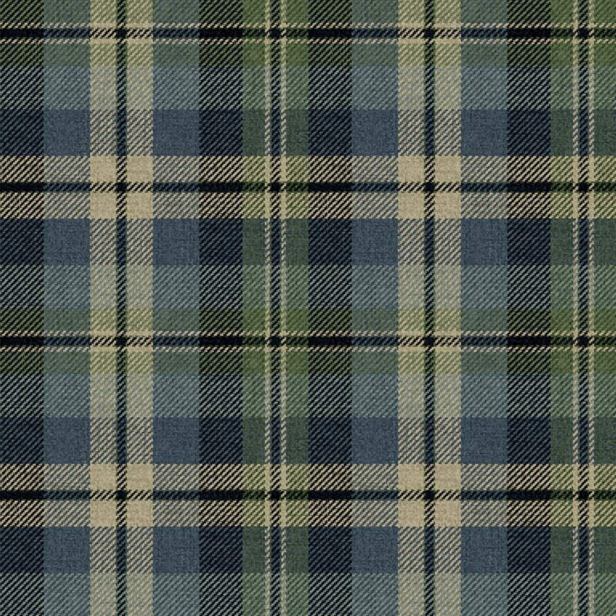 Carl Robinson 21 CL71102