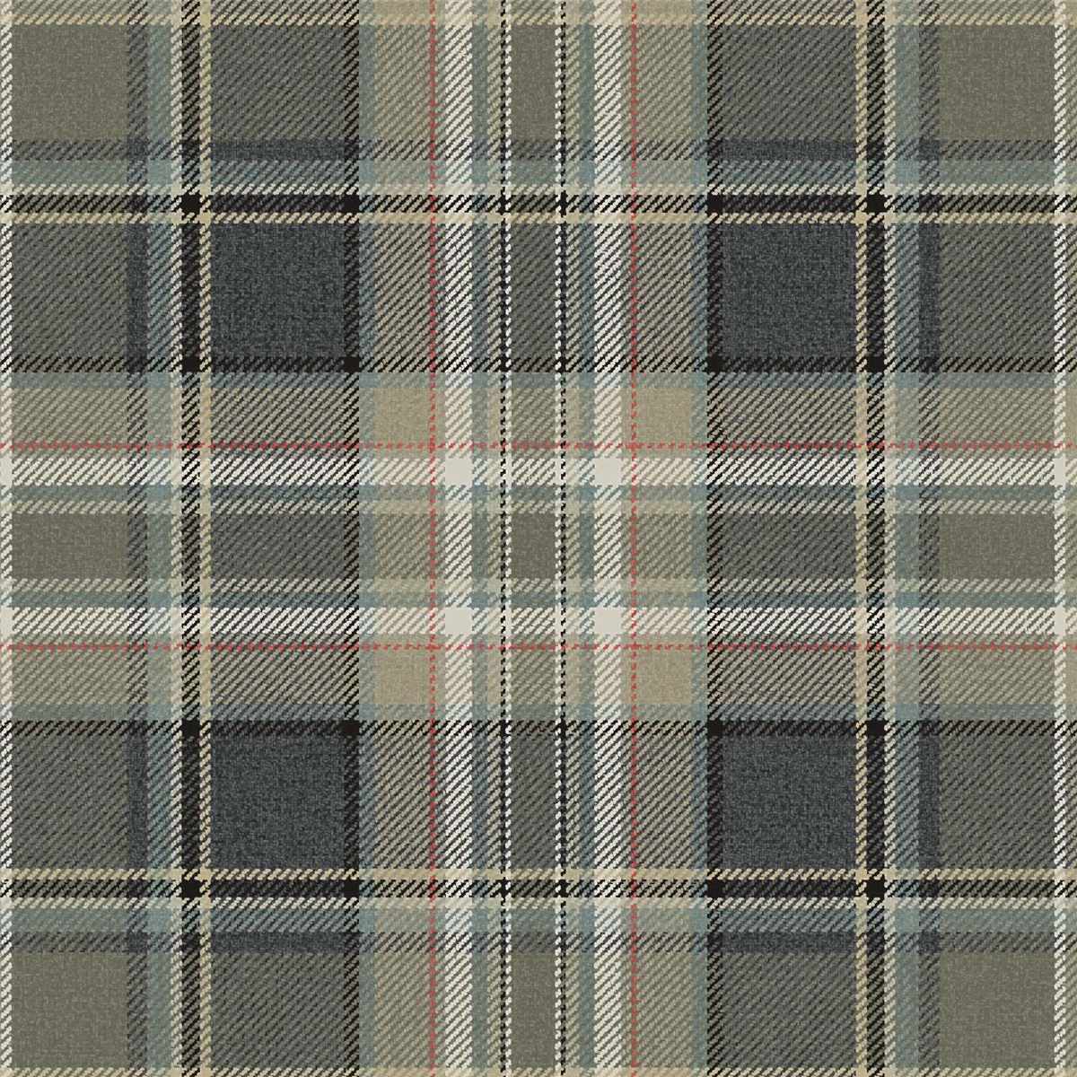 Carl Robinson 21 CL71208