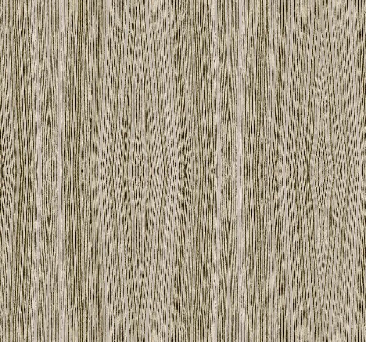 Carl Robinson 21 CL71705