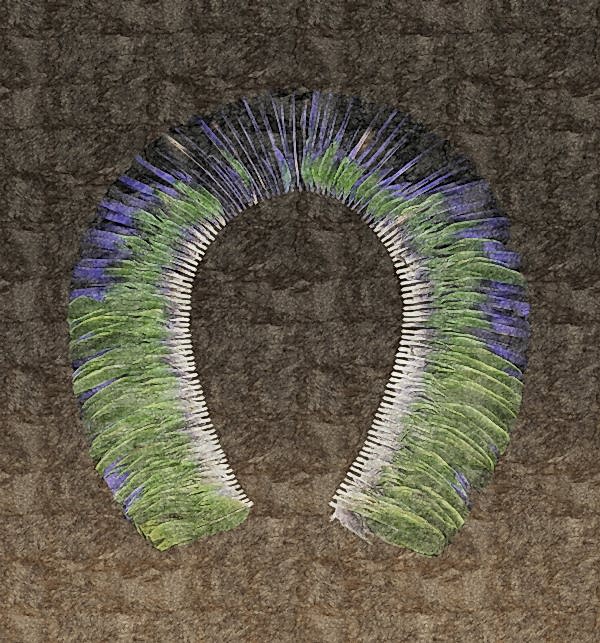 The spirit of natives