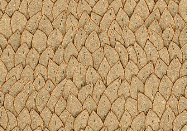 Cordes Sensibles VP993/11