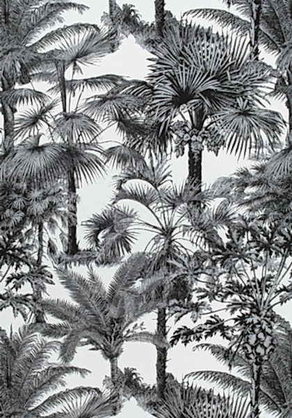 PALM BOTANICAL F910102