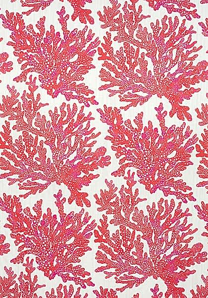 MARINE CORAL F910120