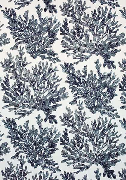 MARINE CORAL F910123