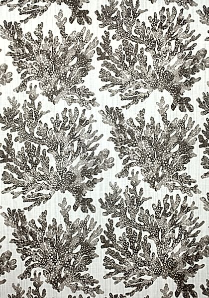 MARINE CORAL F910140