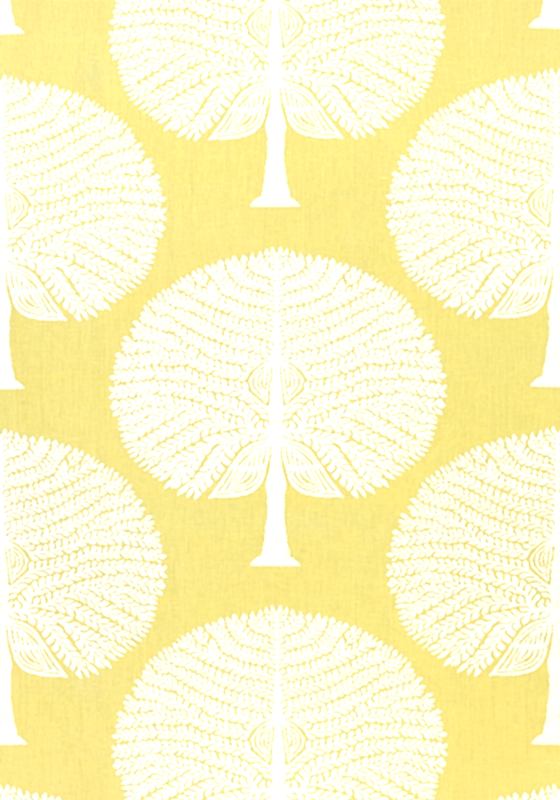 MULBERRY TREE F910605