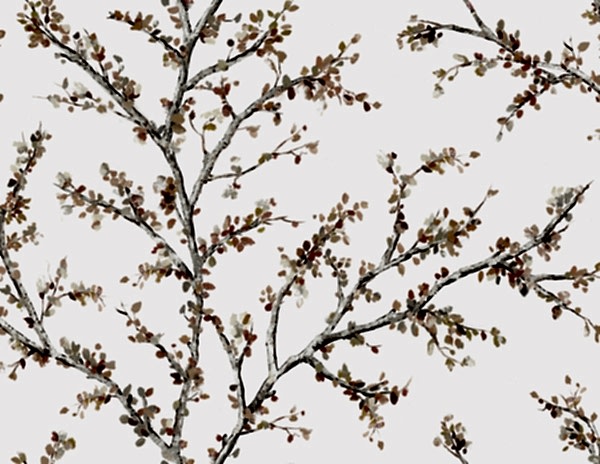 Woodlands Resource JB20201