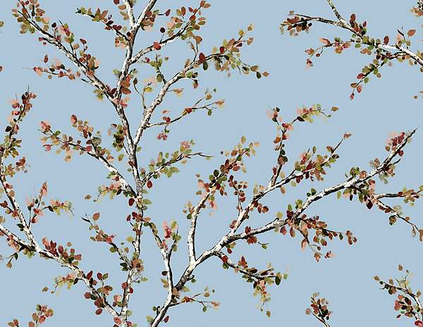 Woodlands Resource JB20202