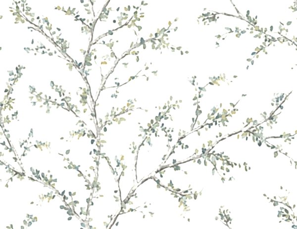 Woodlands Resource JB20204