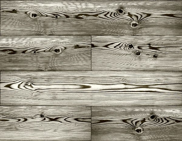 Woodlands Resource JB21706