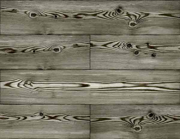 Woodlands Resource JB21708