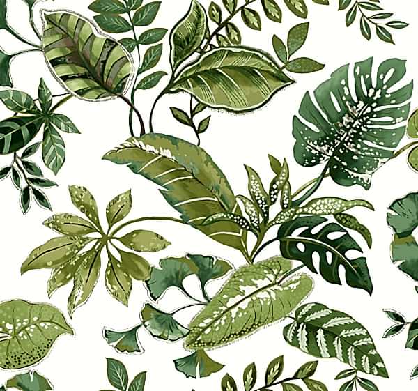 Woodlands Resource JB21914