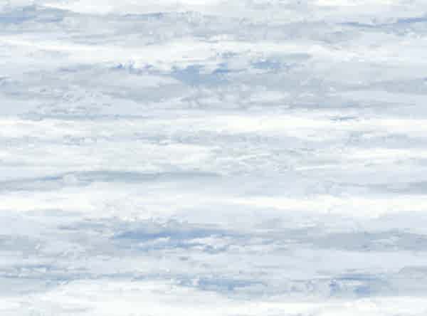 Woodlands Resource JB22102M