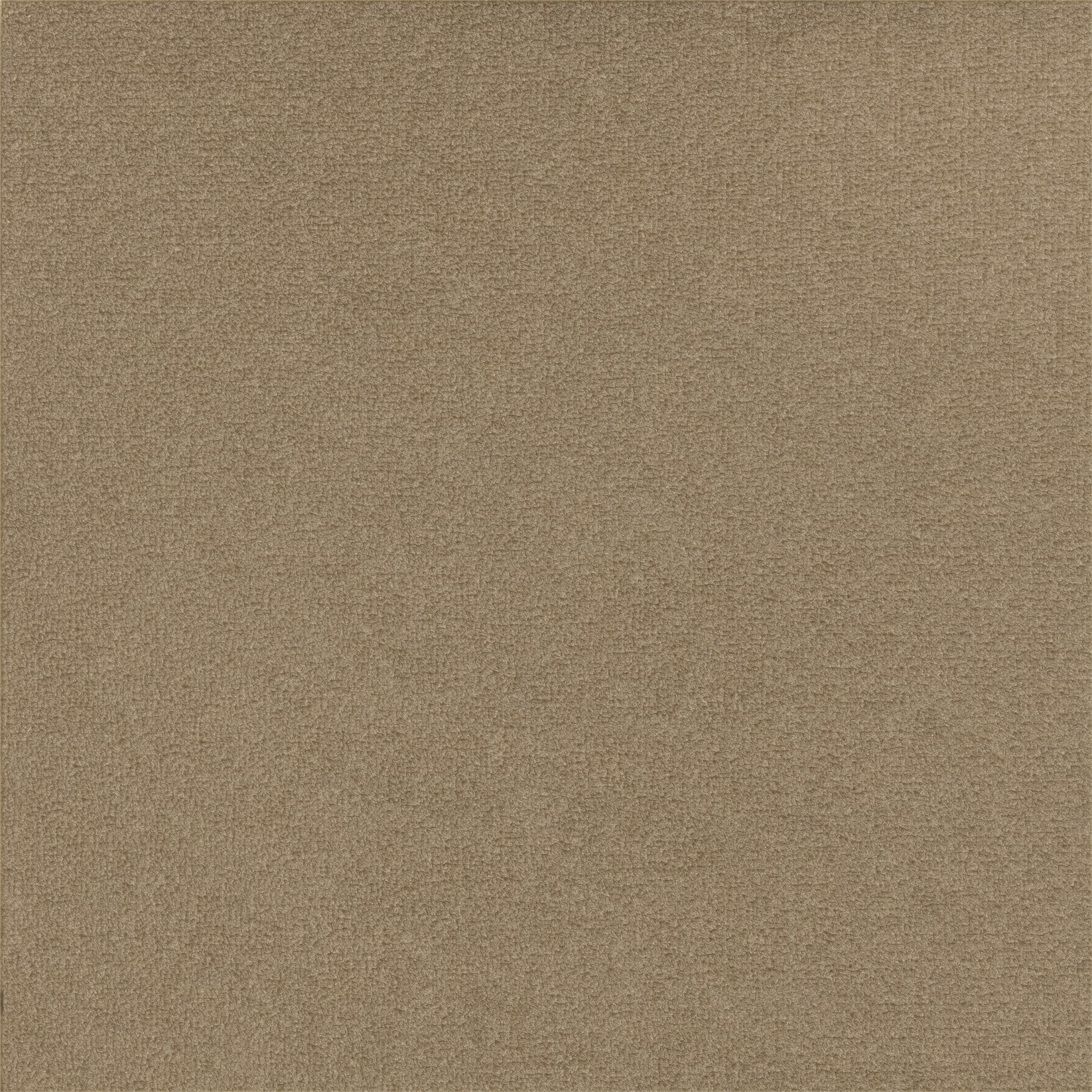 TSAR La caresse du vent LB691/10