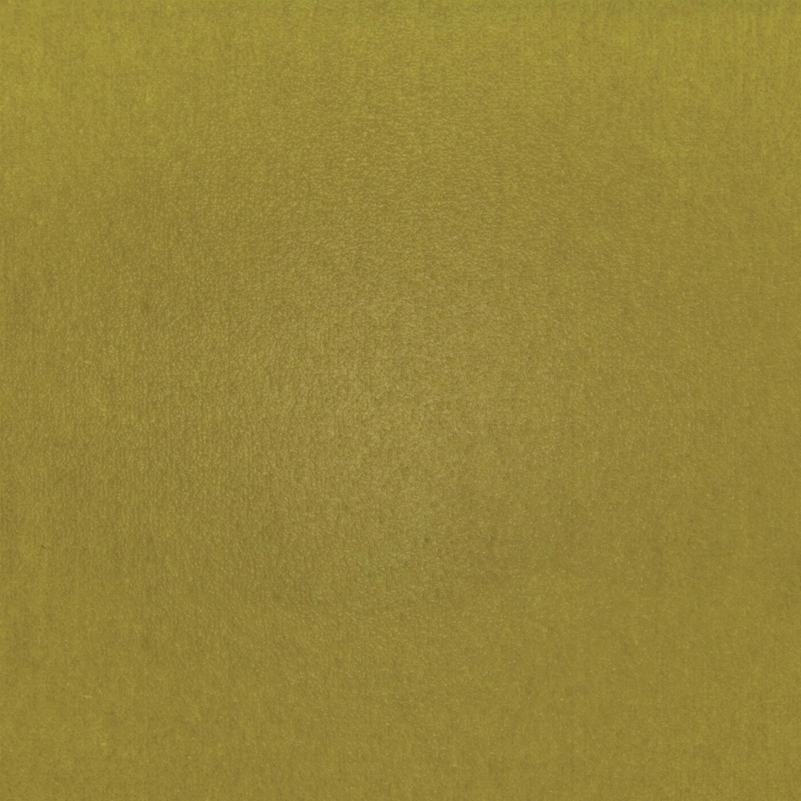 TSAR Lichens ensoleillés LB691/62