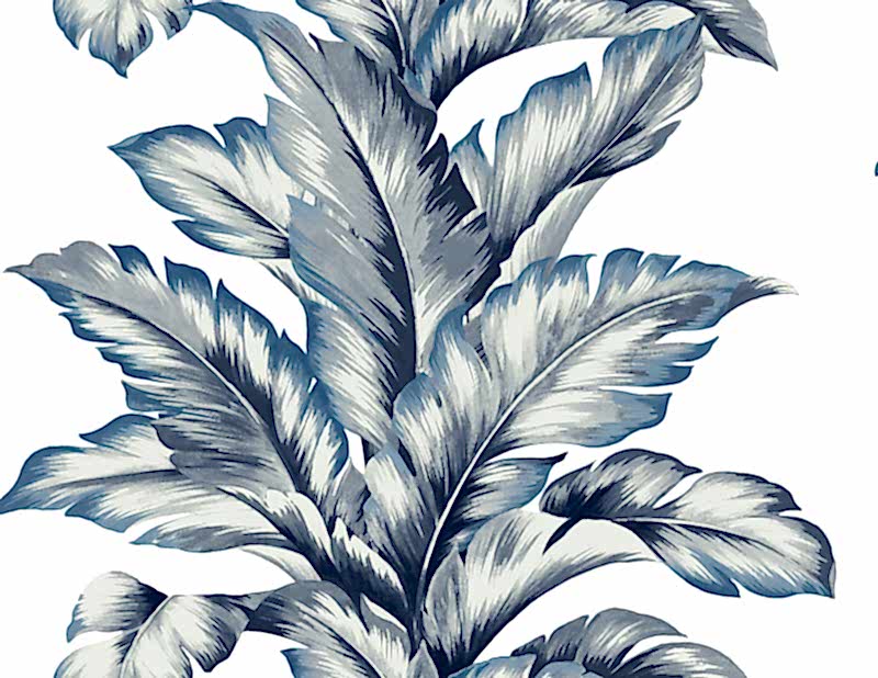 Coastal Haven LN40612