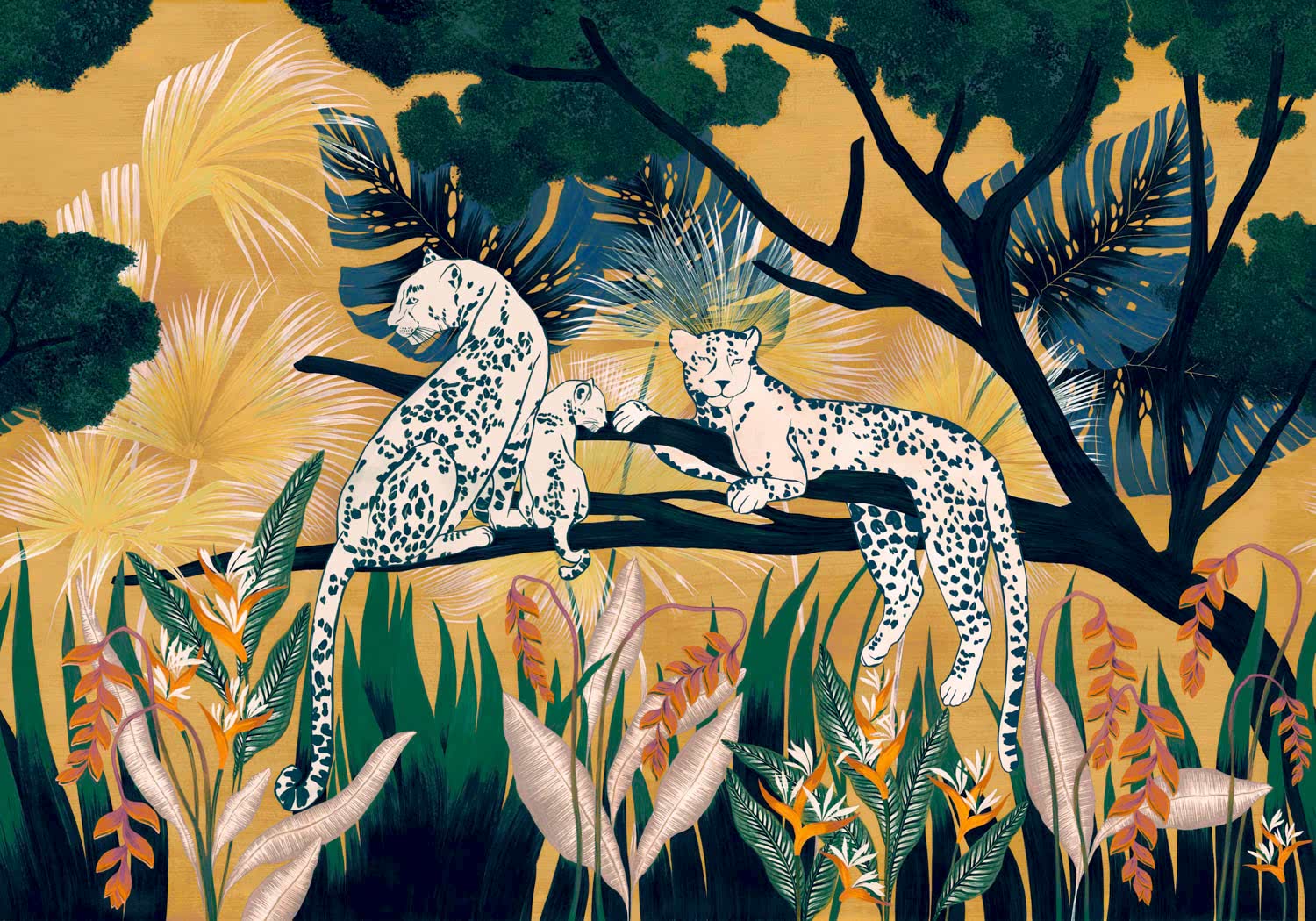 Bossa Nova M5301-1_01