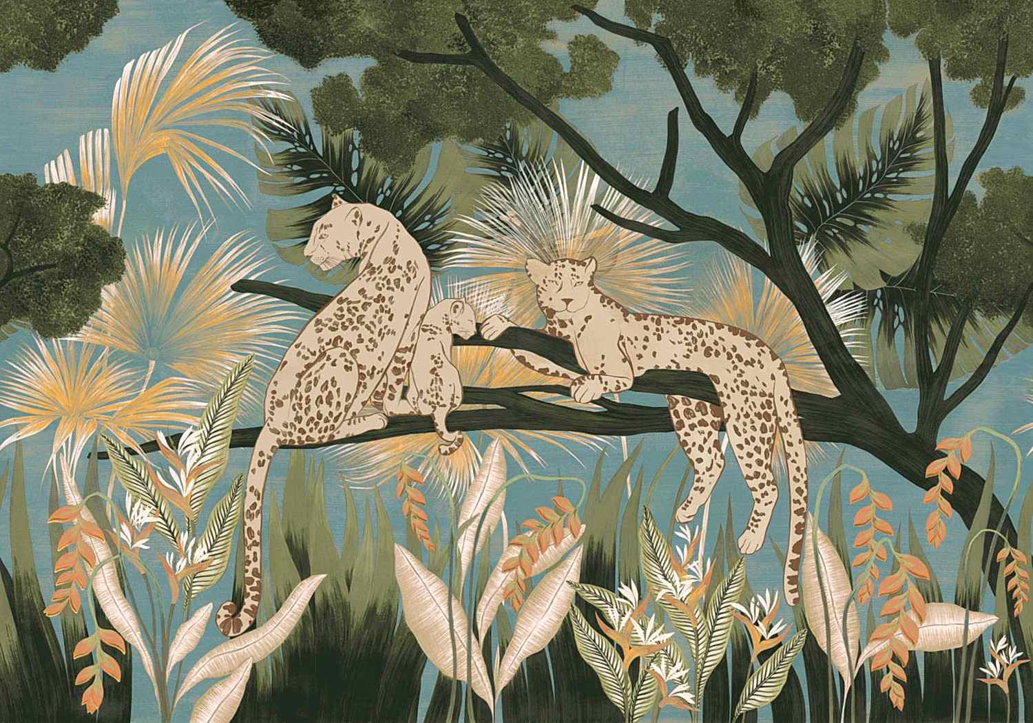 Bossa Nova M5301-2_01