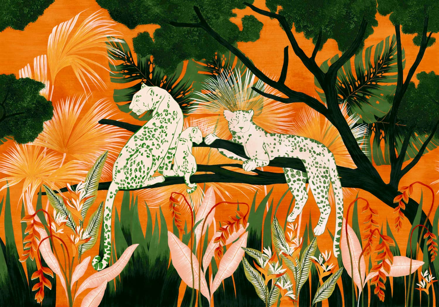 Bossa Nova M5301-3_01