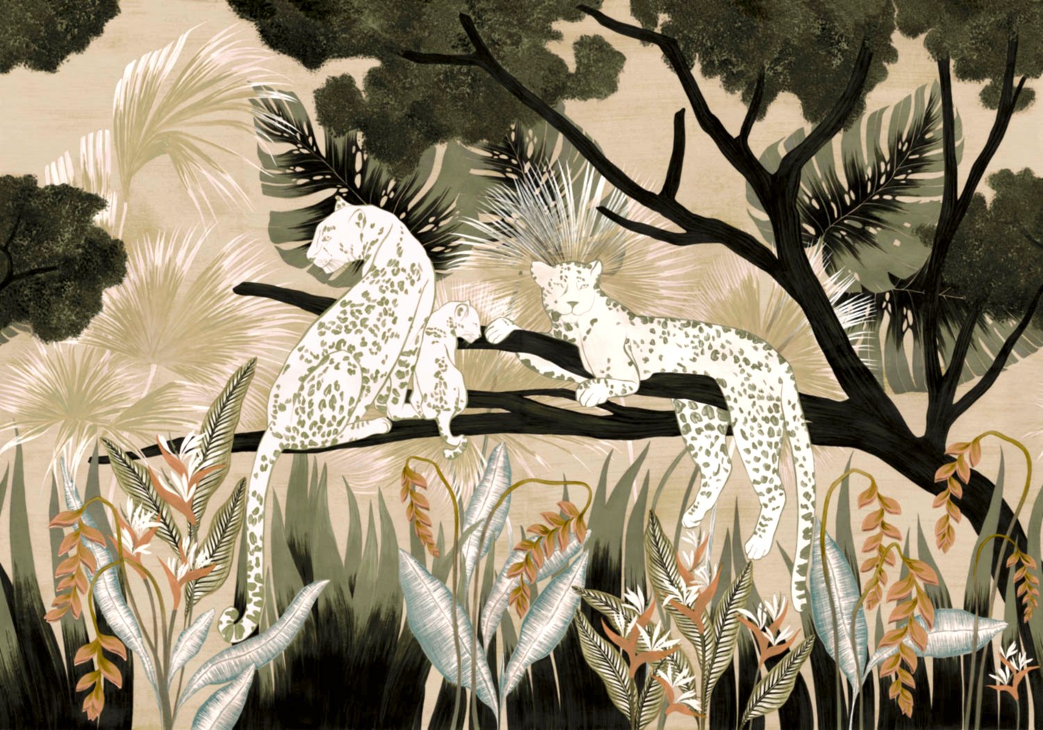 Bossa Nova M5301-4_01