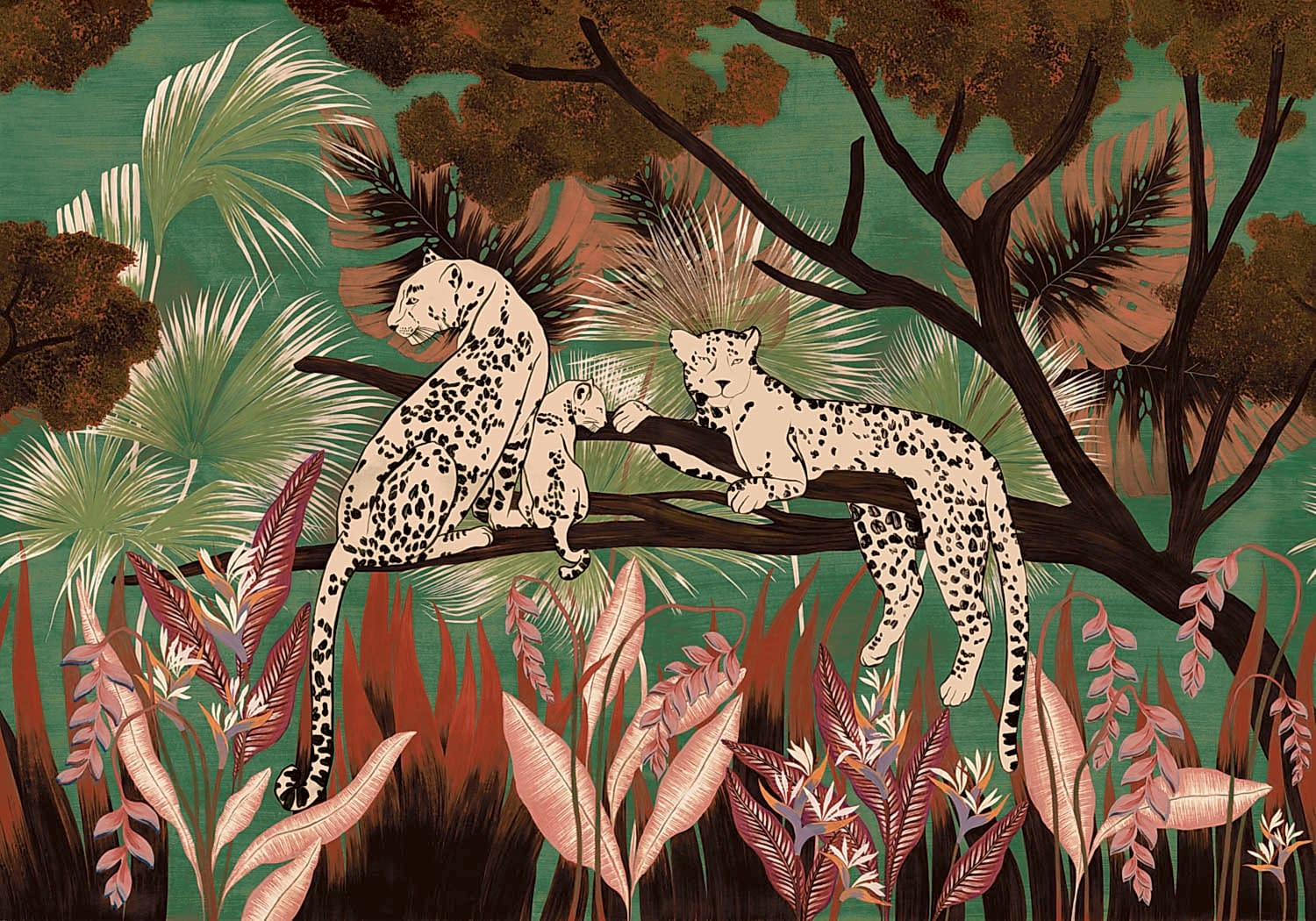 Bossa Nova M5301-5_01