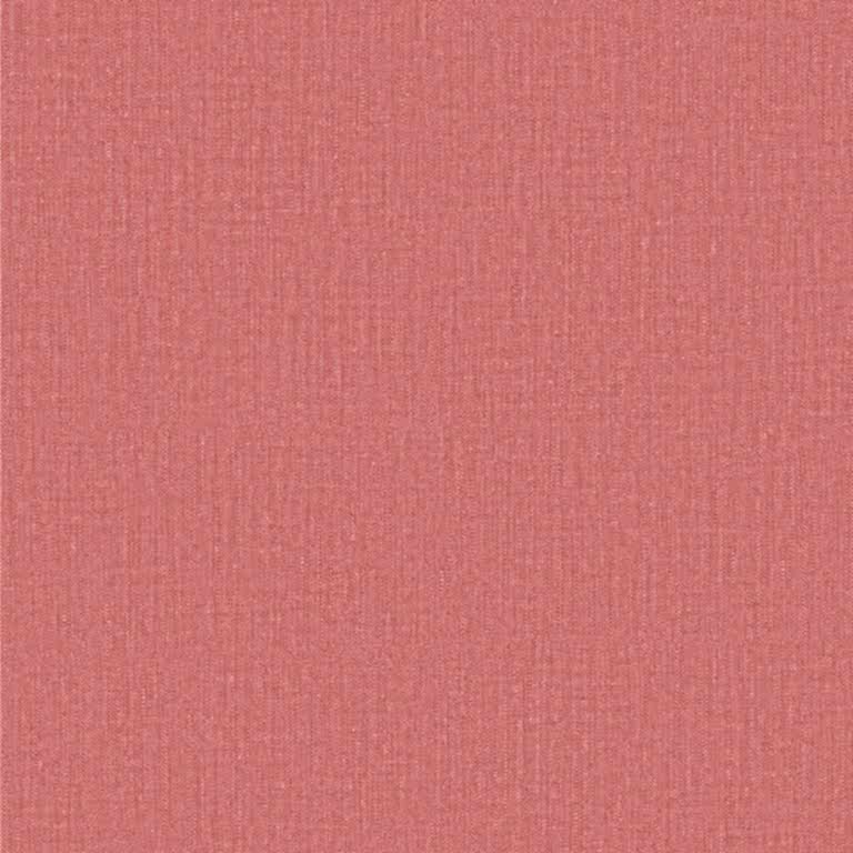 My Adventures MA66167