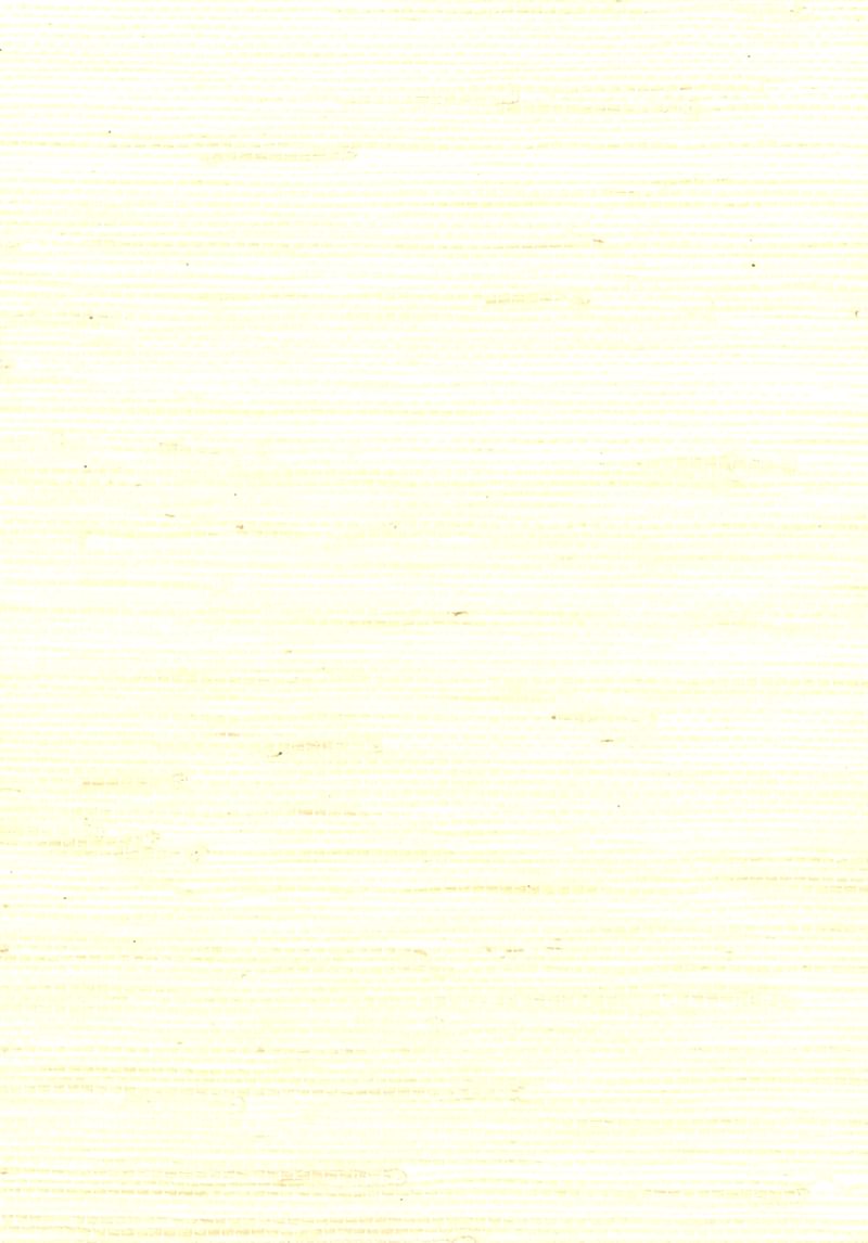 Naturel Resource NR131X