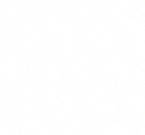 White on White OY34220