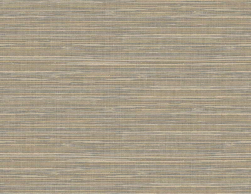 Palm Springs PS41606