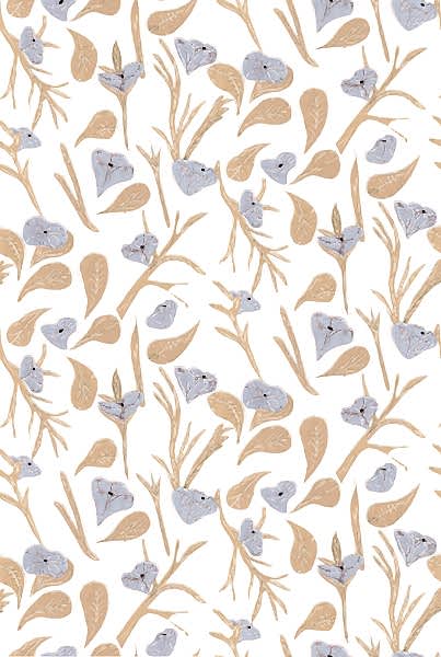 Rima RI4003-5-Brizna.jpg