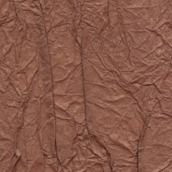 Splendeurs d'une favorite RM221/35