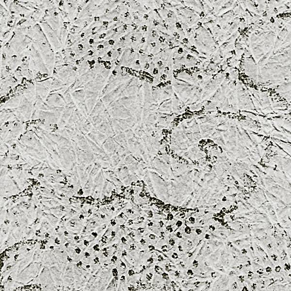 Contes de pluie et de lune RM222/02