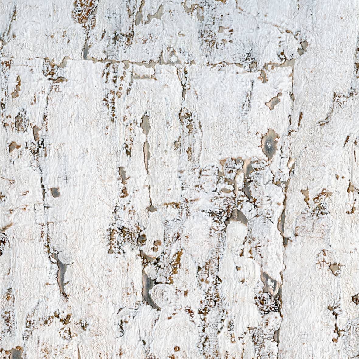 Nature Precieuse D.Kaplaması RM631/94