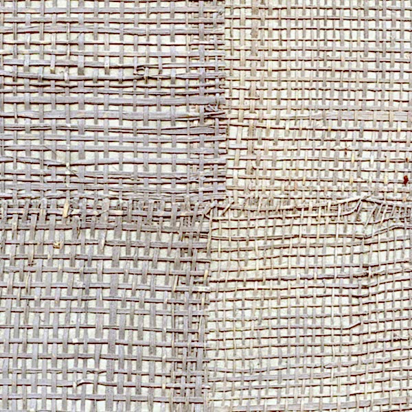 EPURE PACHIRA RM666/12