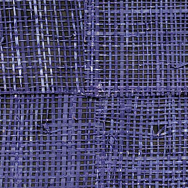 EPURE PACHIRA RM666/48